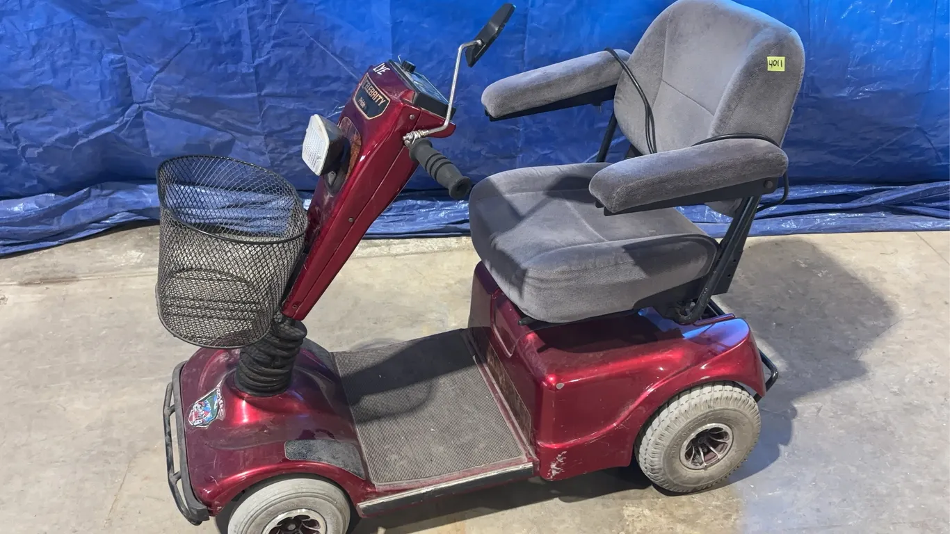 Celebrity Pride Electric Mobility Scooter, Battery Operated