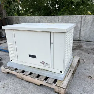 Briggs & Stratton 12KW Generator (#766-286)