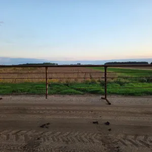 (5) 24’ Free Standing Panels, Chains on Both Ends. This Item is Located in South Dakota, Therefore S