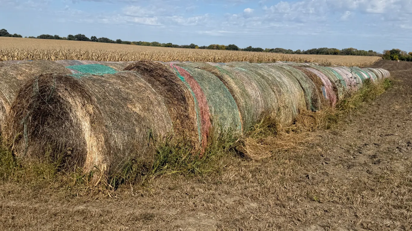 (20) Bales Of Alfalfa 5 X 6 Bales, Approx 1300# Each, Put Up In 2025