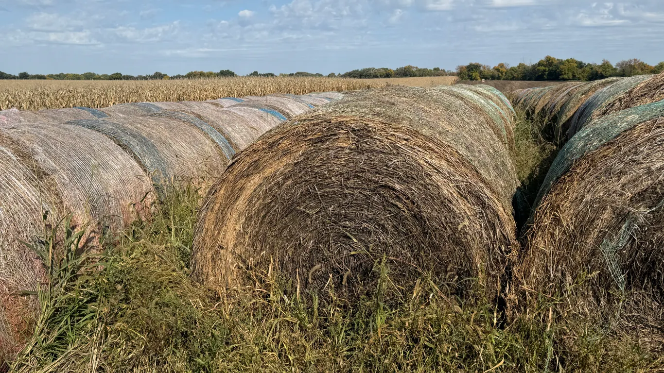 (20) Bales Of Alfalfa 5 X 6 Bales, Approx 1300# Each, Put Up In 2025