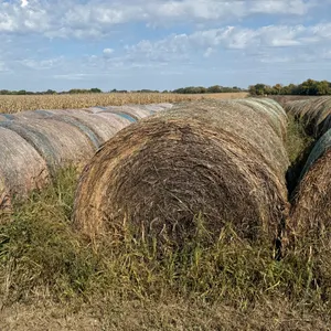 (20) Bales Of Alfalfa 5 X 6 Bales, Approx 1300# Each, Put Up In 2025