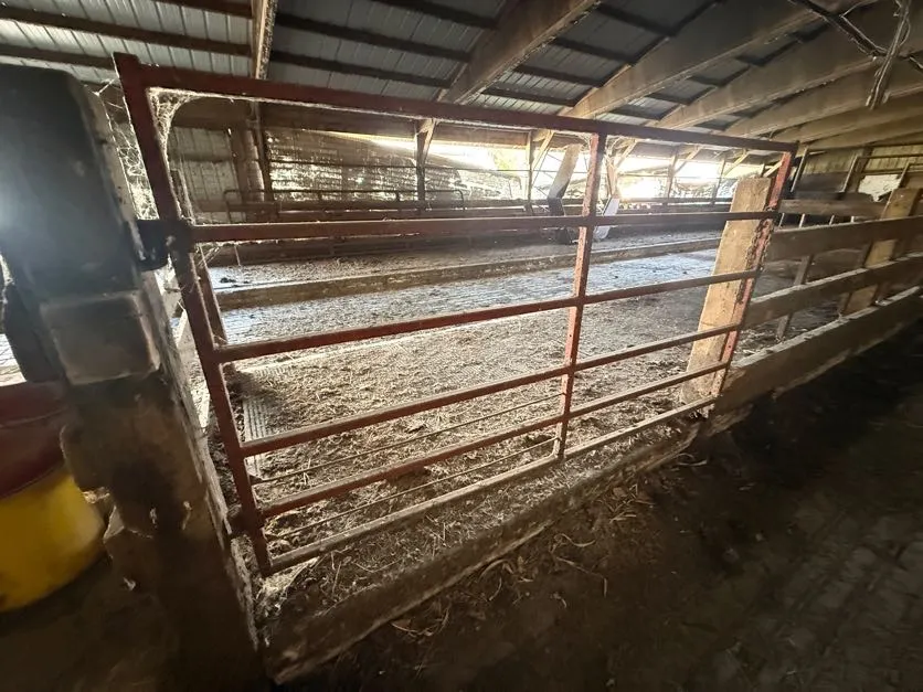 8 Ft Square Tube Gate (7)