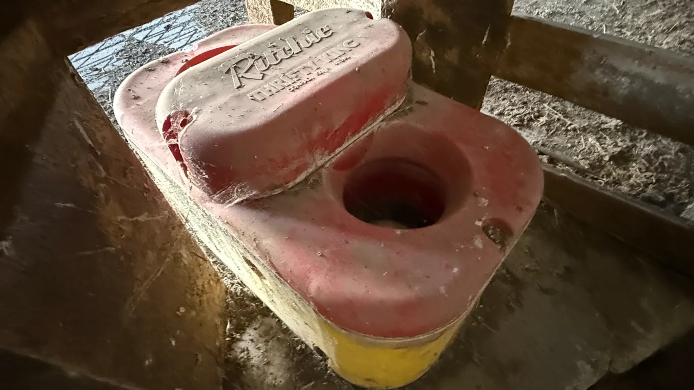 Ritchie Cattle Waterer, Insulated, 2-Hole, Needs To Be Unhooked