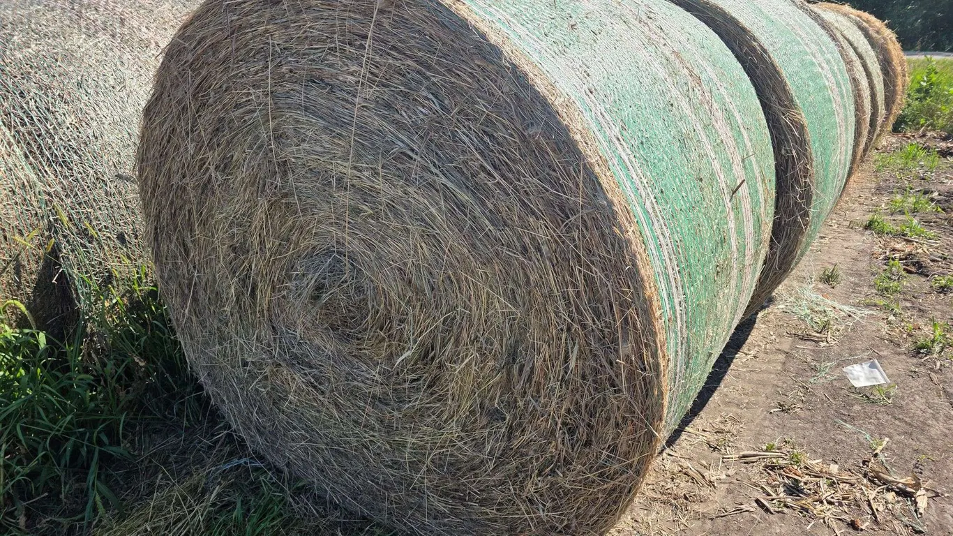 (10) 5x6 Round Bales of Grass Hay from the Summer of ’26, Baled 7/15 with New Holland 1090 Baler, Ne