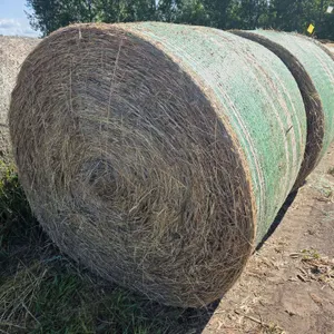 (10) 5x6 Round Bales of Grass Hay from the Summer of ’26, Baled 7/15 with New Holland 1090 Baler, Ne