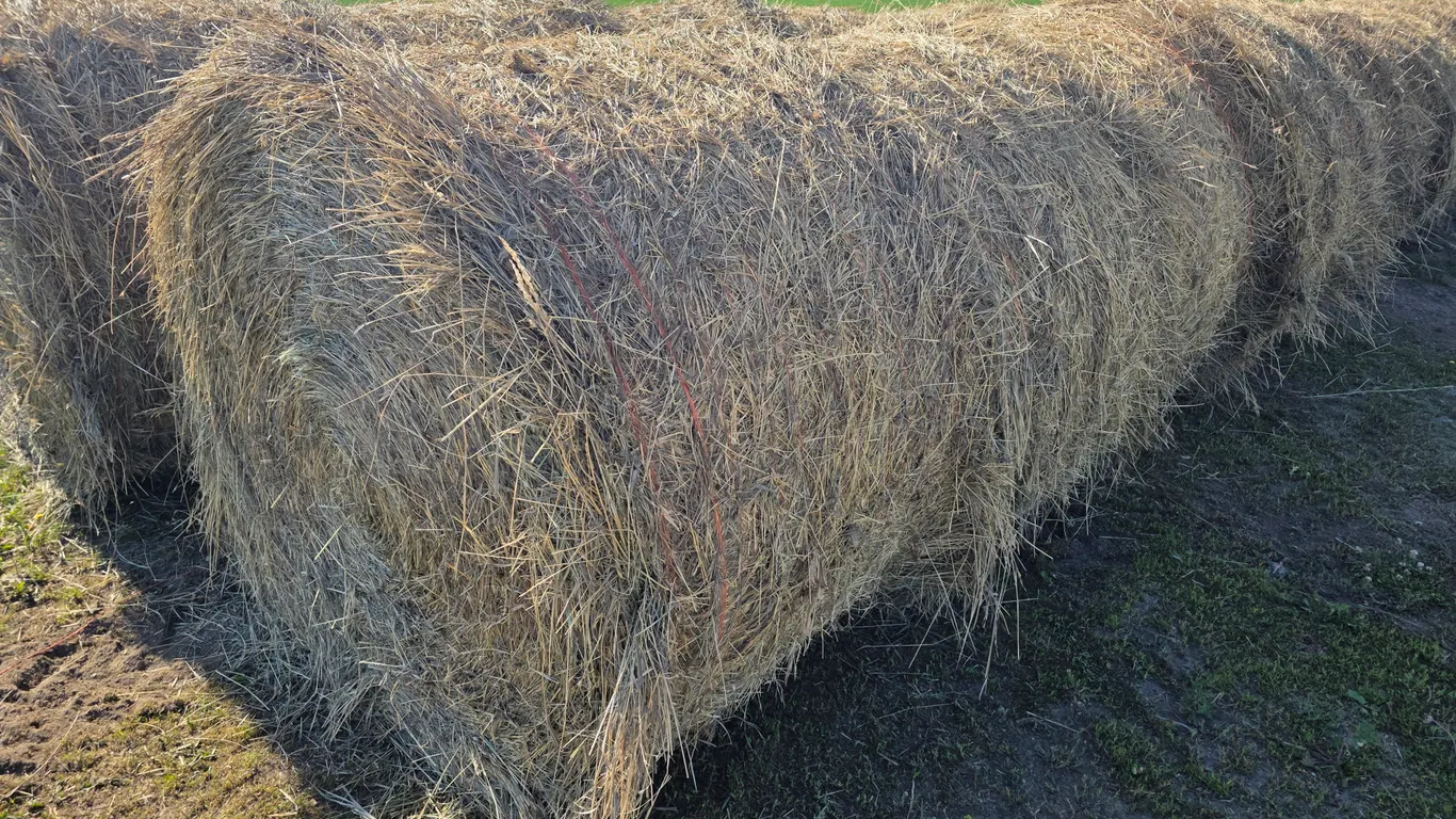 (20) 2026 First Cutting Grass Hay Bales, Put up with No Rain, Approx 850lbs, 4x5 Bales, John Deere B