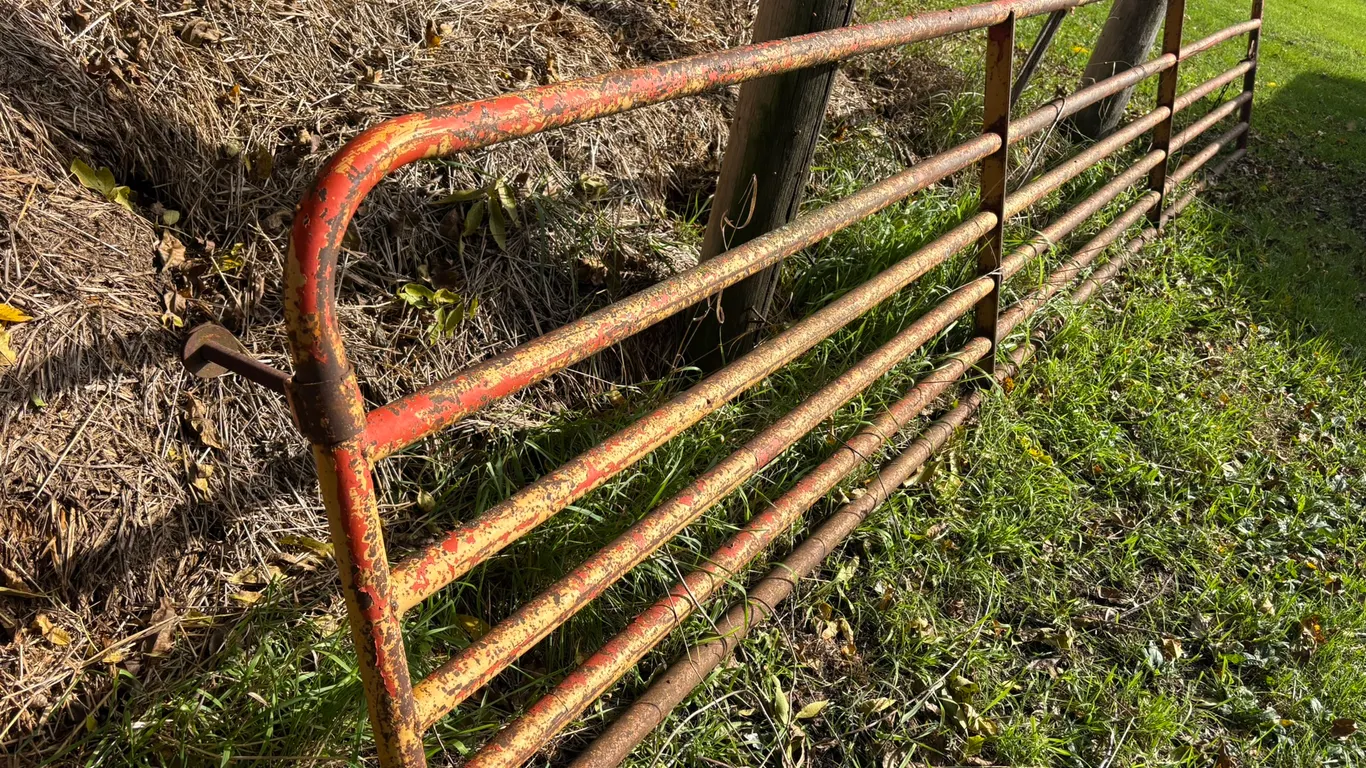 (1) Sioux Pipe Gate, 33” Tall, Approx 16’, with Hinges