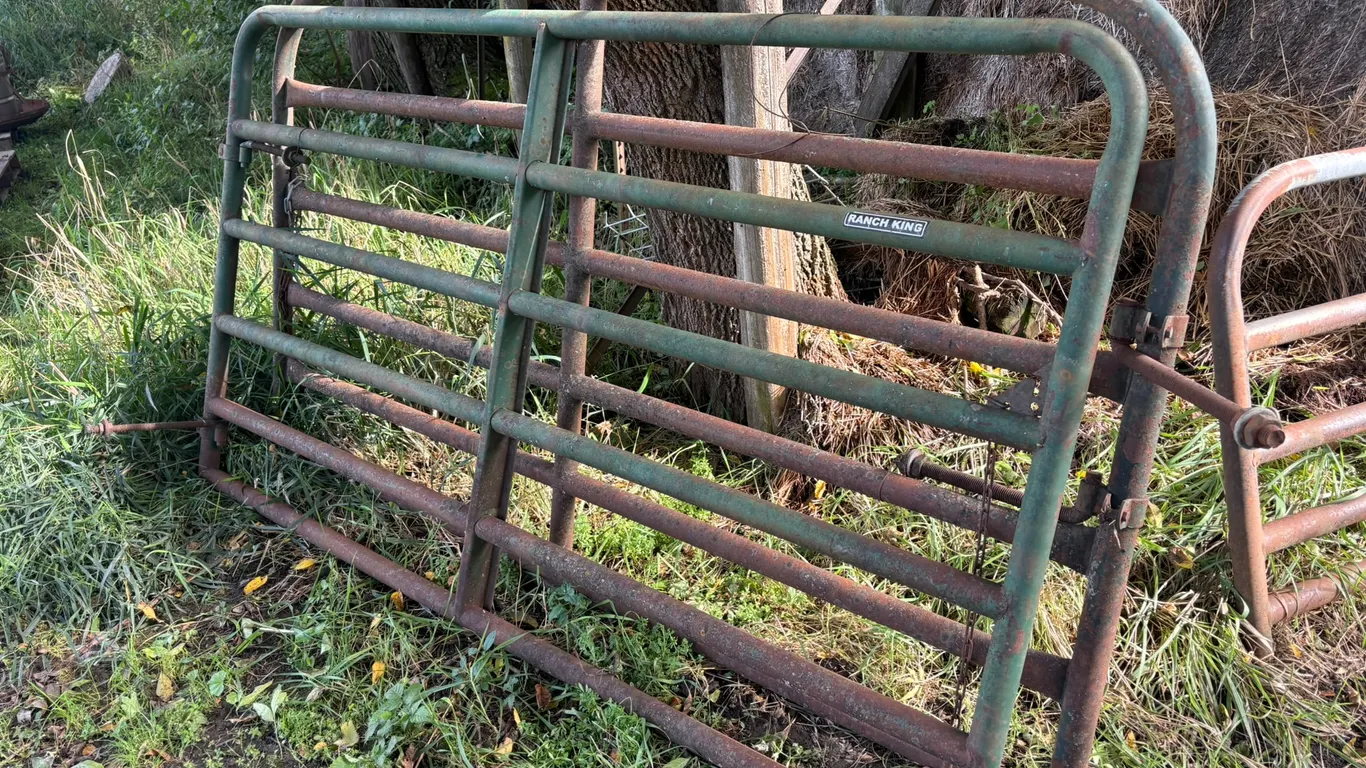 (2) Pipe Gates, 50” Tall, Approx 8’, with Hinges, Buying All For One Money