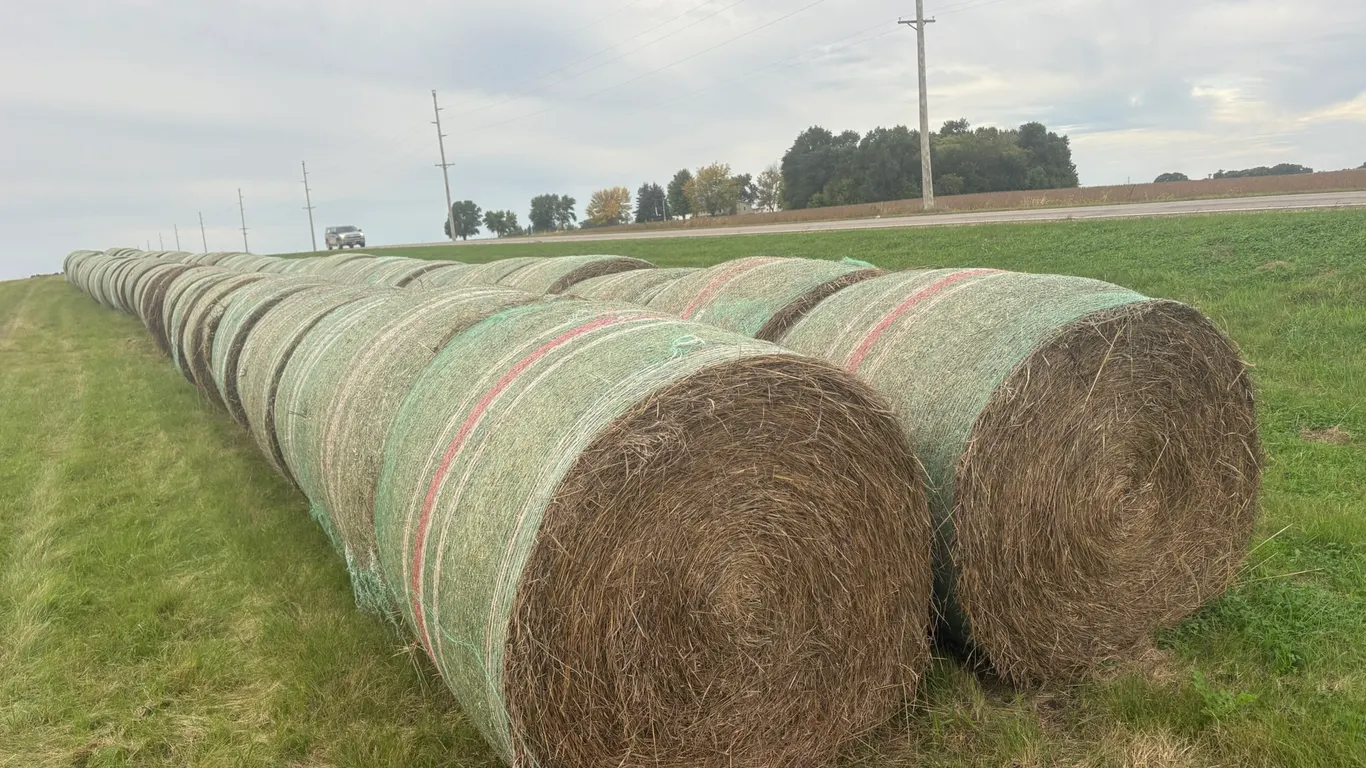 (11) Round Bales Grass Hay, Net Wrapped, baled with JD 568, *no rain, baled Sept 26