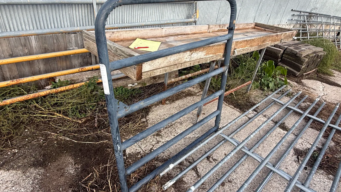 4 Ft Metal Walk-Through Gate With Pins, 2" Tube