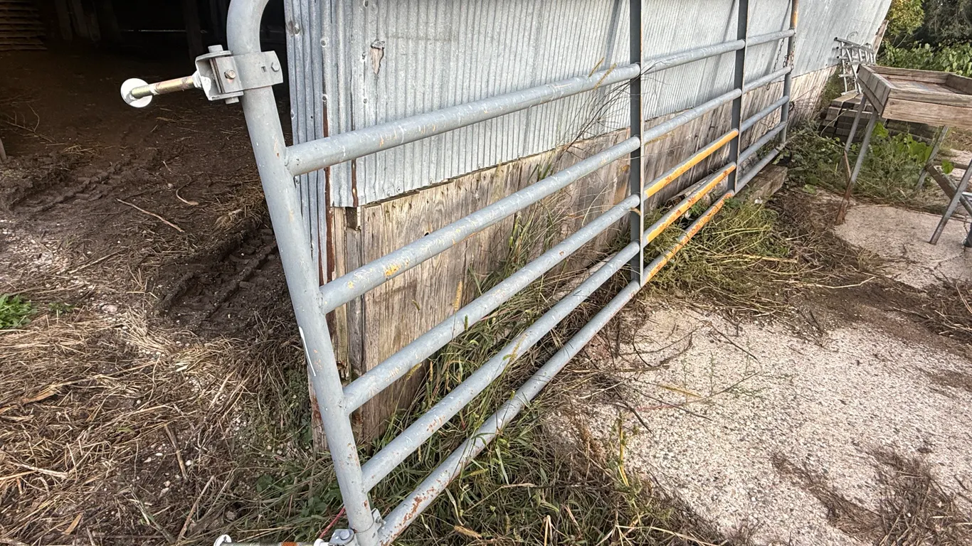 16 Ft Metal Gate With Pins, With 2" Tube