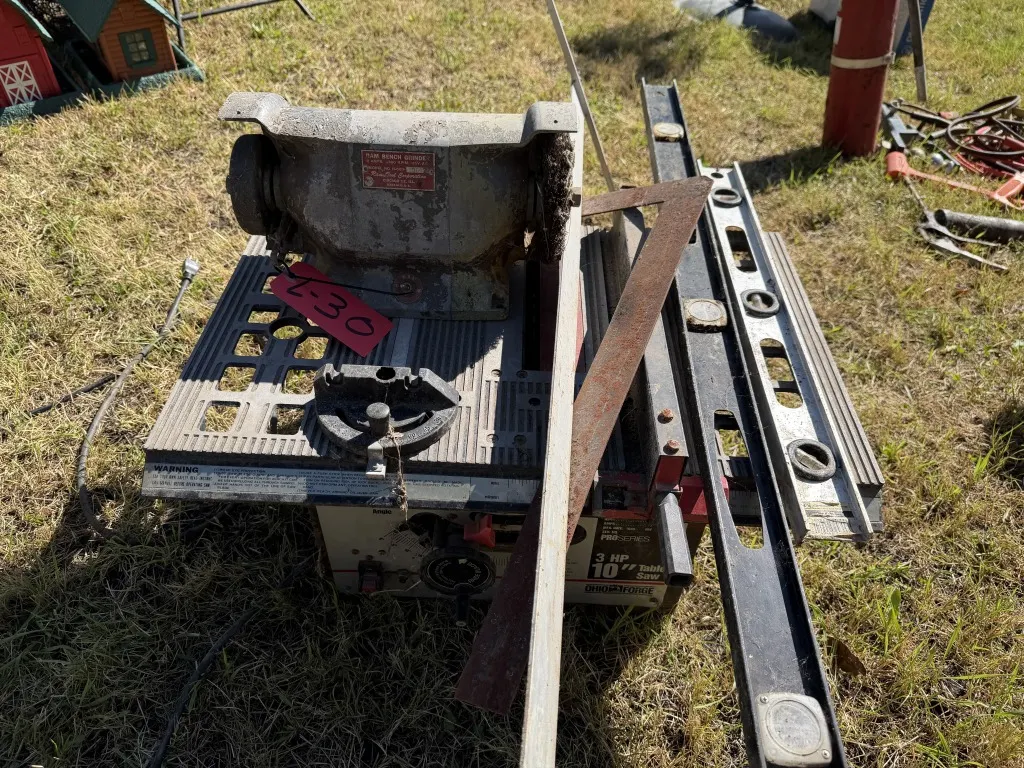 Bench Grinder And 3 HP 10" Table Saw (Lot 30)