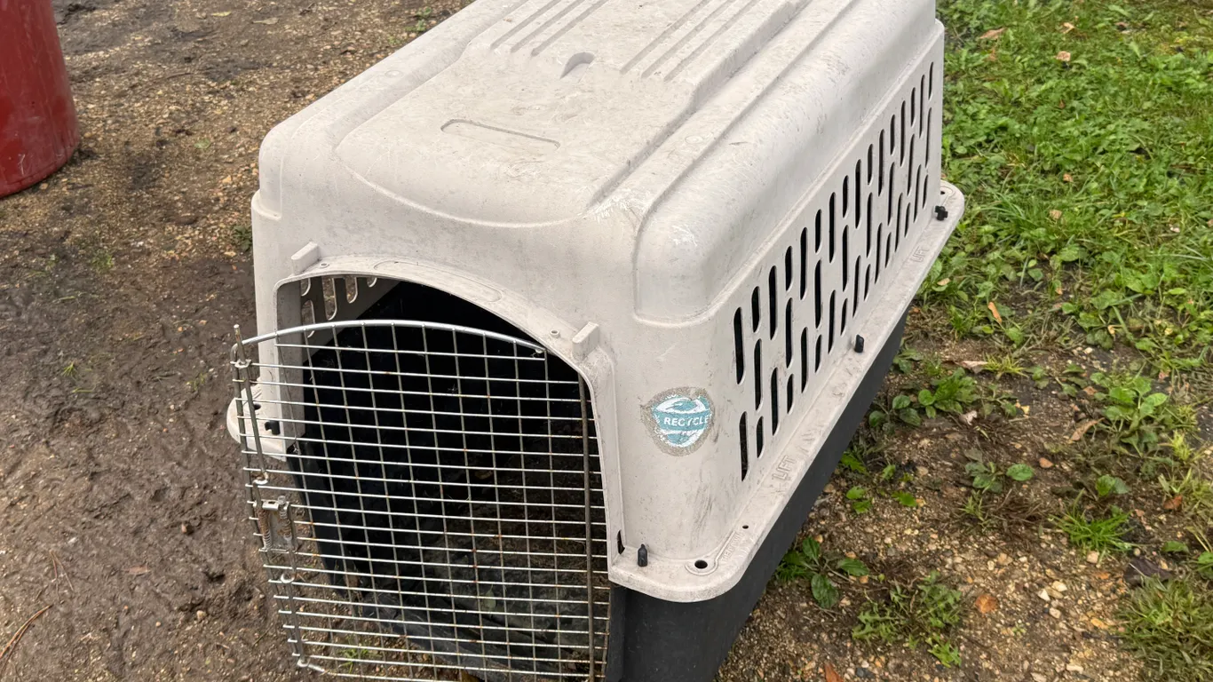 Large Dog Carrier, 20 X 30 X 25" High