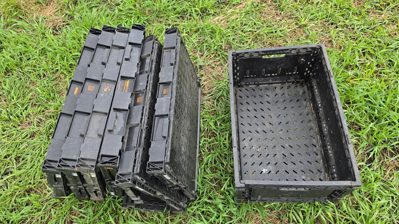 (7) Collapsible Totes, Buying All for One Money