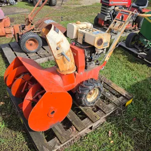 Gilson Walk Behind Snow Blower, Briggs and Stratton Engine, Has Not Ran in a Number of Years