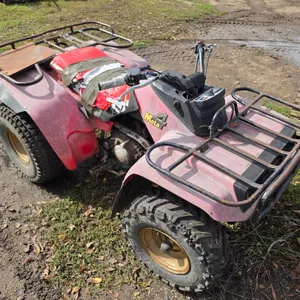 Yamaha Moto 4 ATV, Bad Engine