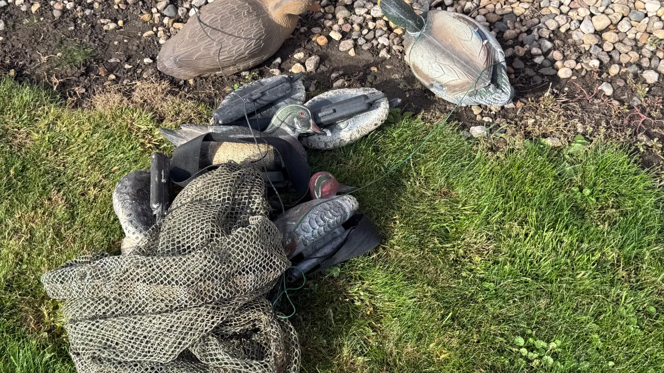 Misc Duck Decoys