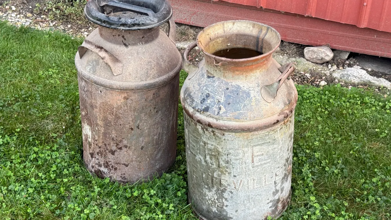 (2 )10 Gal Milk Cans, 1 Lid, Buying All for One Money