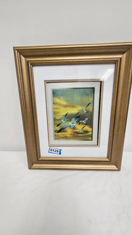 Framed Seagull Print