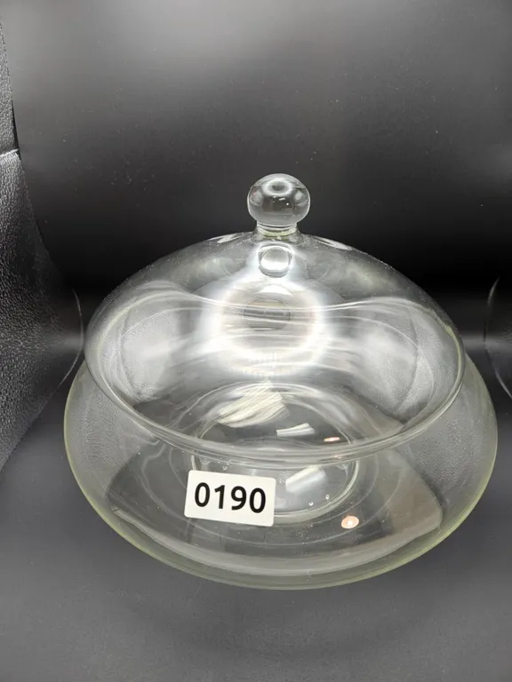 Glass Cloche Terrarium with Knob
