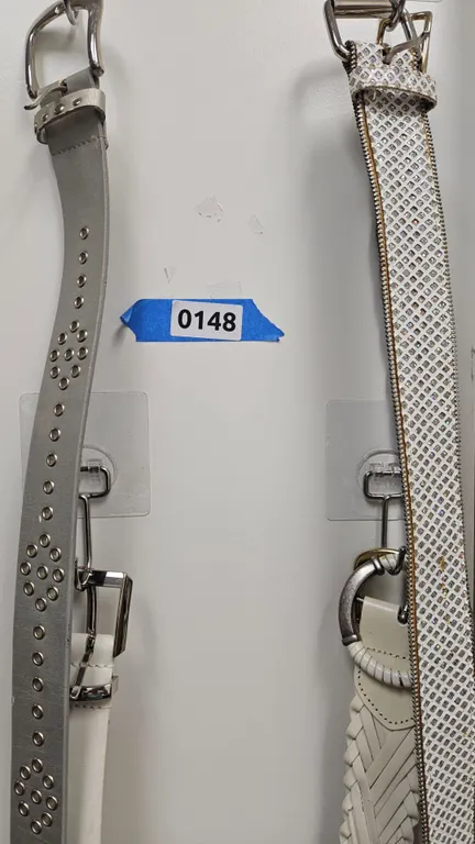 Assorted Ladies Belts Lot