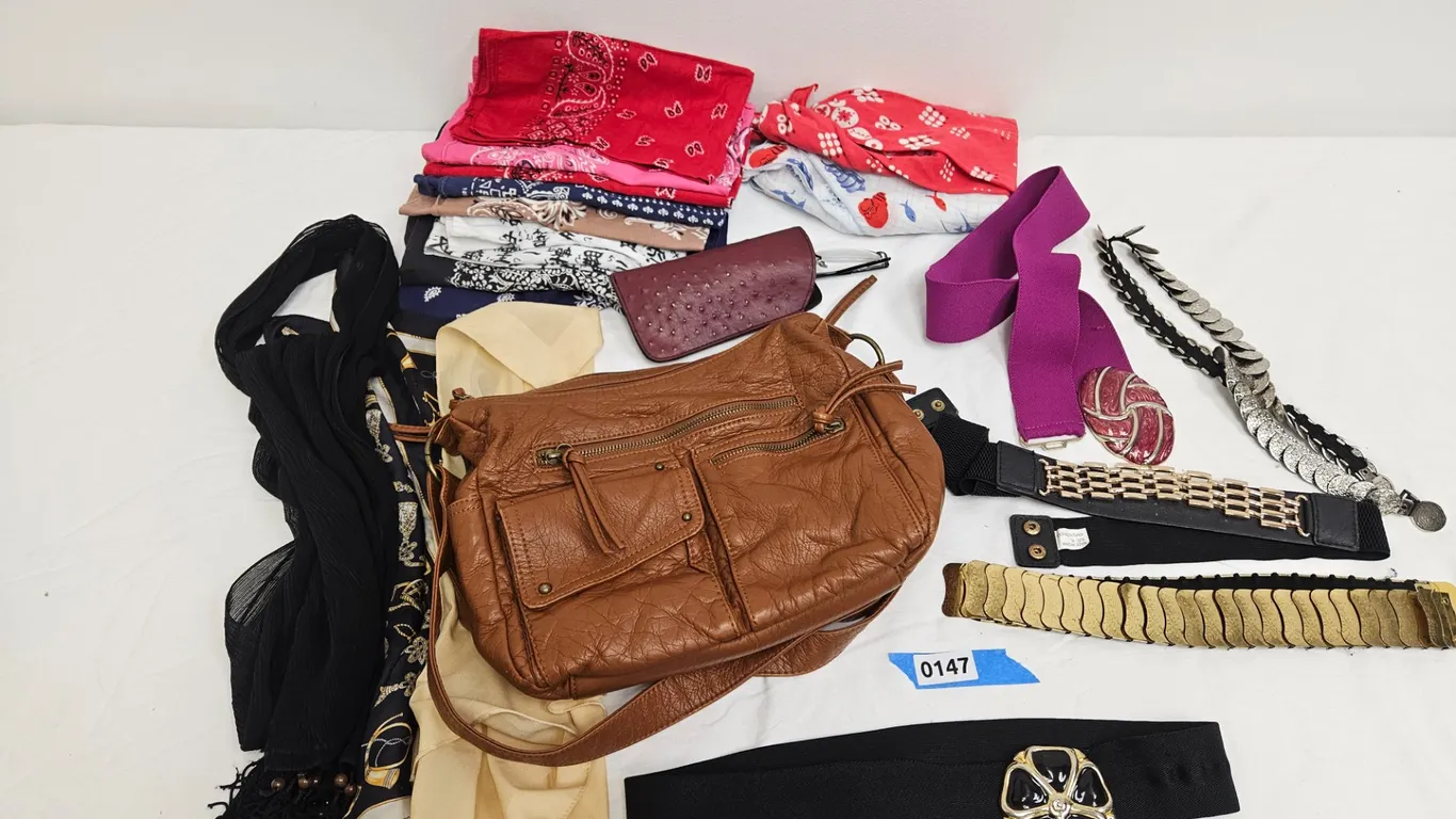 Bueno Handbag, Scarves, Bandanas, Belts, and Eyeglass Case Assortment