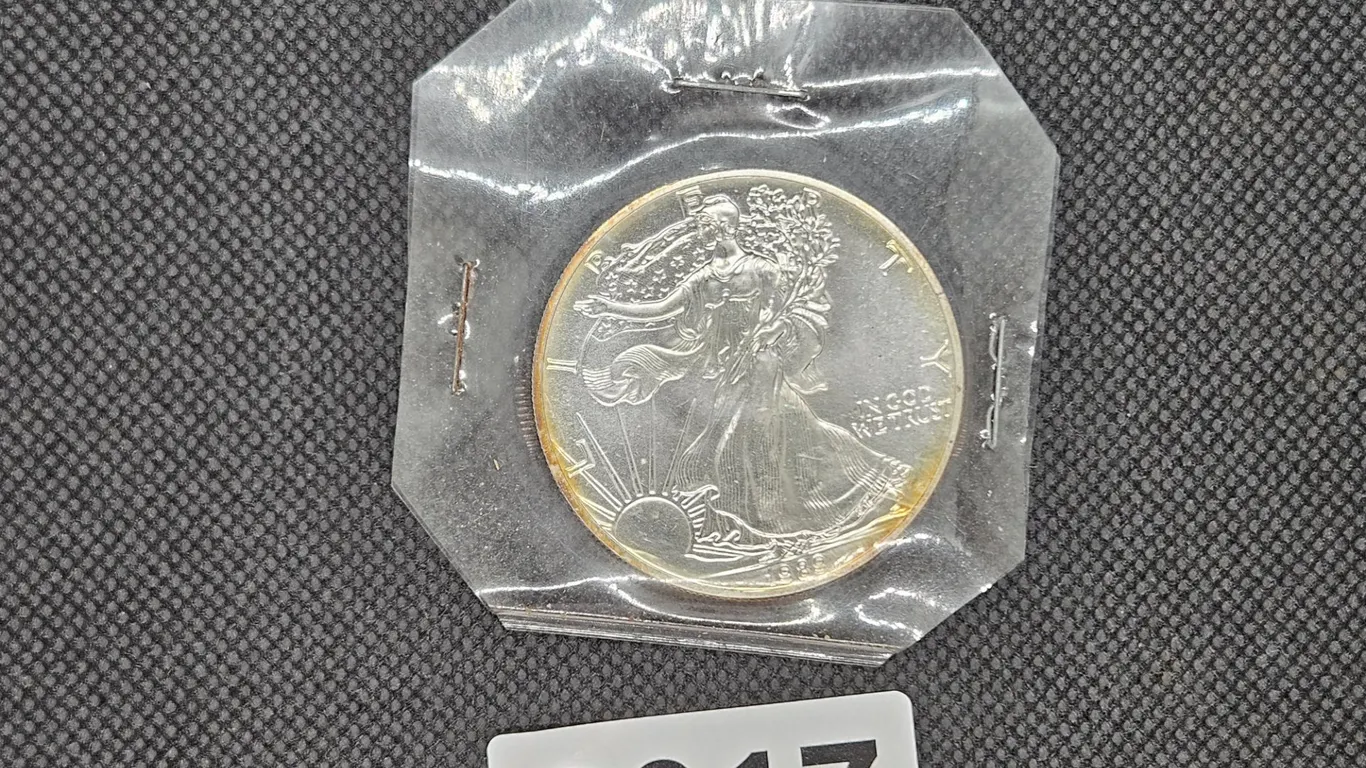 1989 American Silver Eagle 1 Oz. Fine Silver Coin