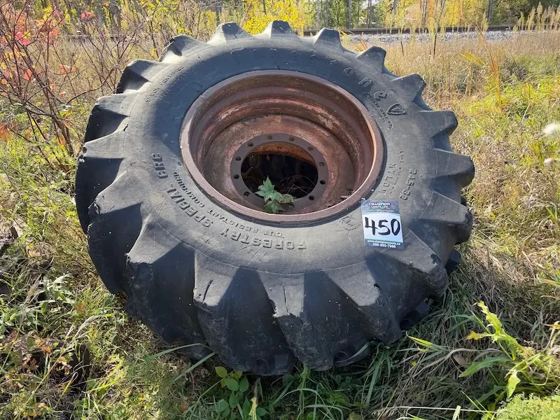 Firestone 24.5 x 34 Forestry Tire