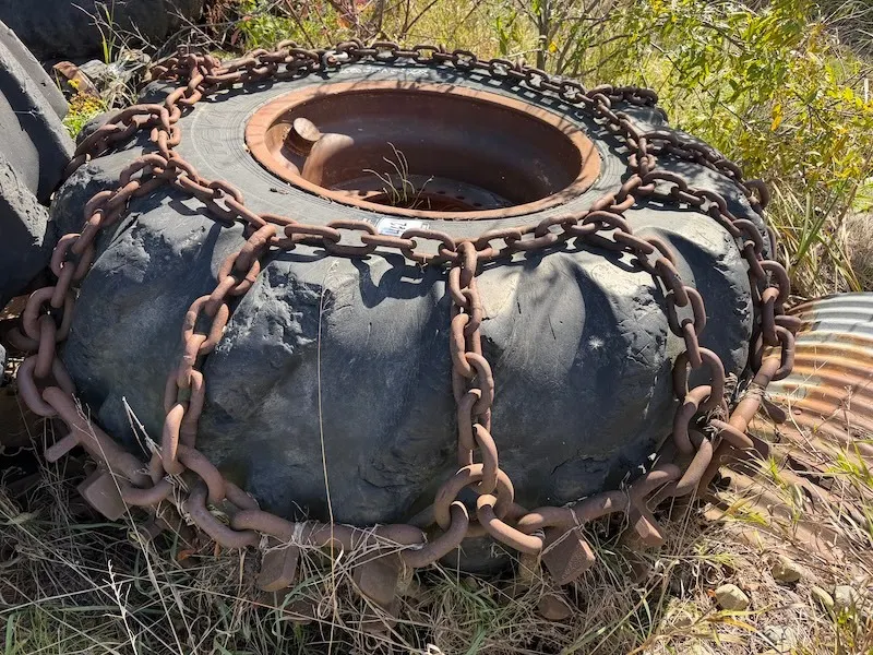 30.5 x 32 Forestry Tire
