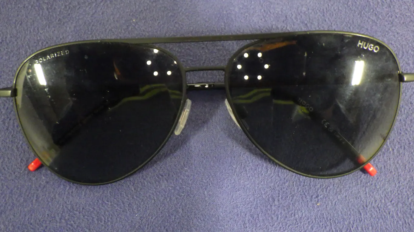 Hugo HG 1318/s/cos Sunglasses