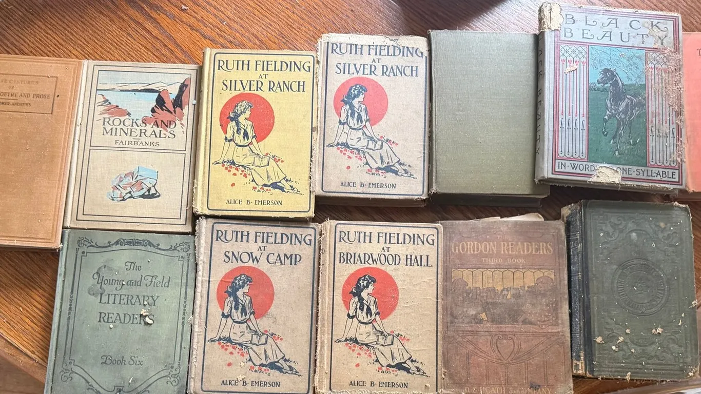 Vintage Books, School Readers & Ruth Fielding Lot