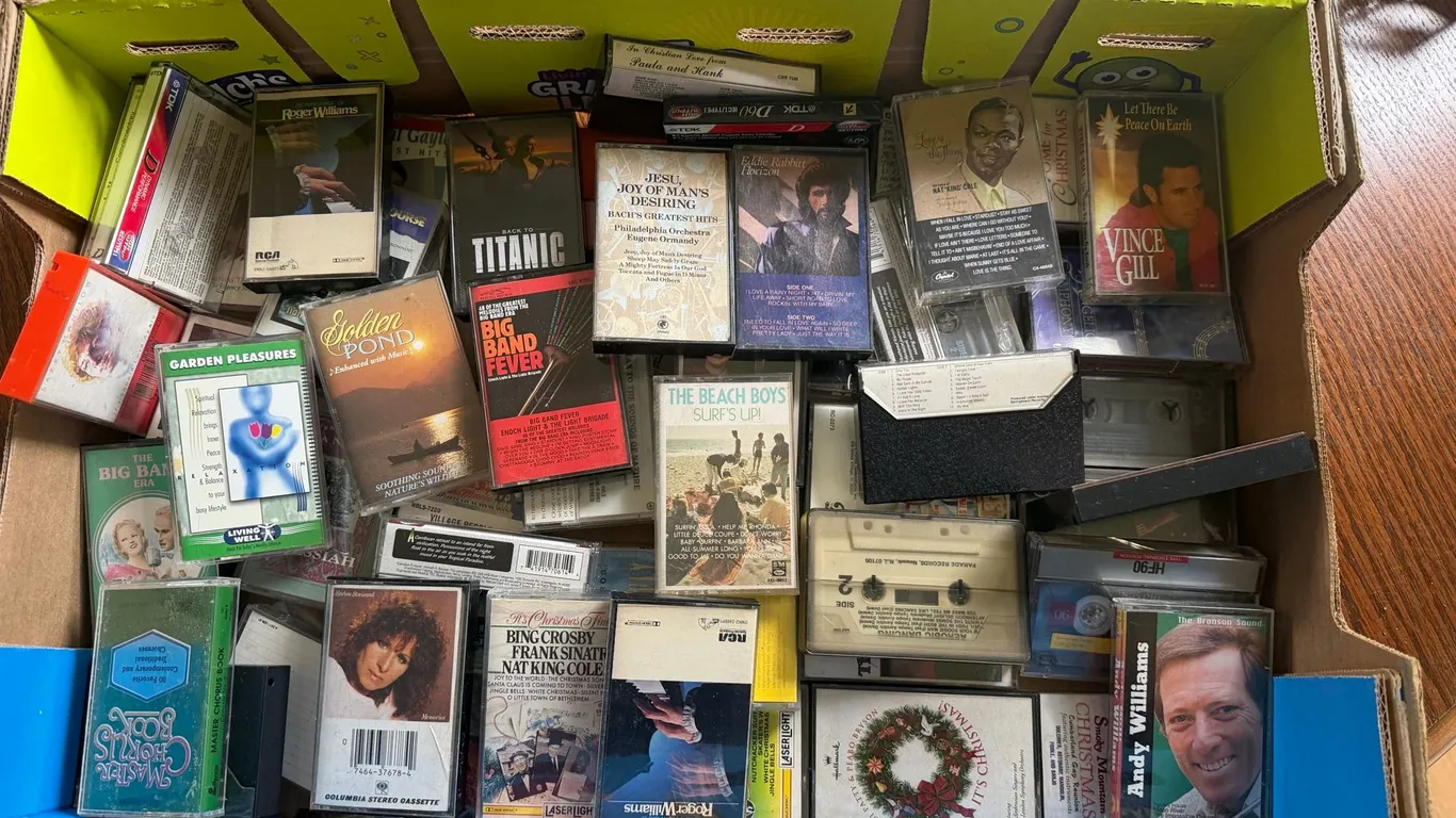 Mixed Music Cassette Tape Lot