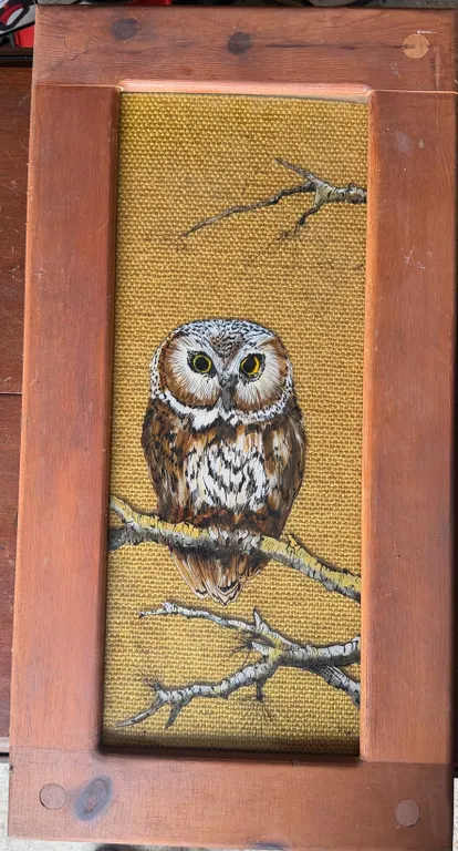 Wood Framed Owl Wall Art