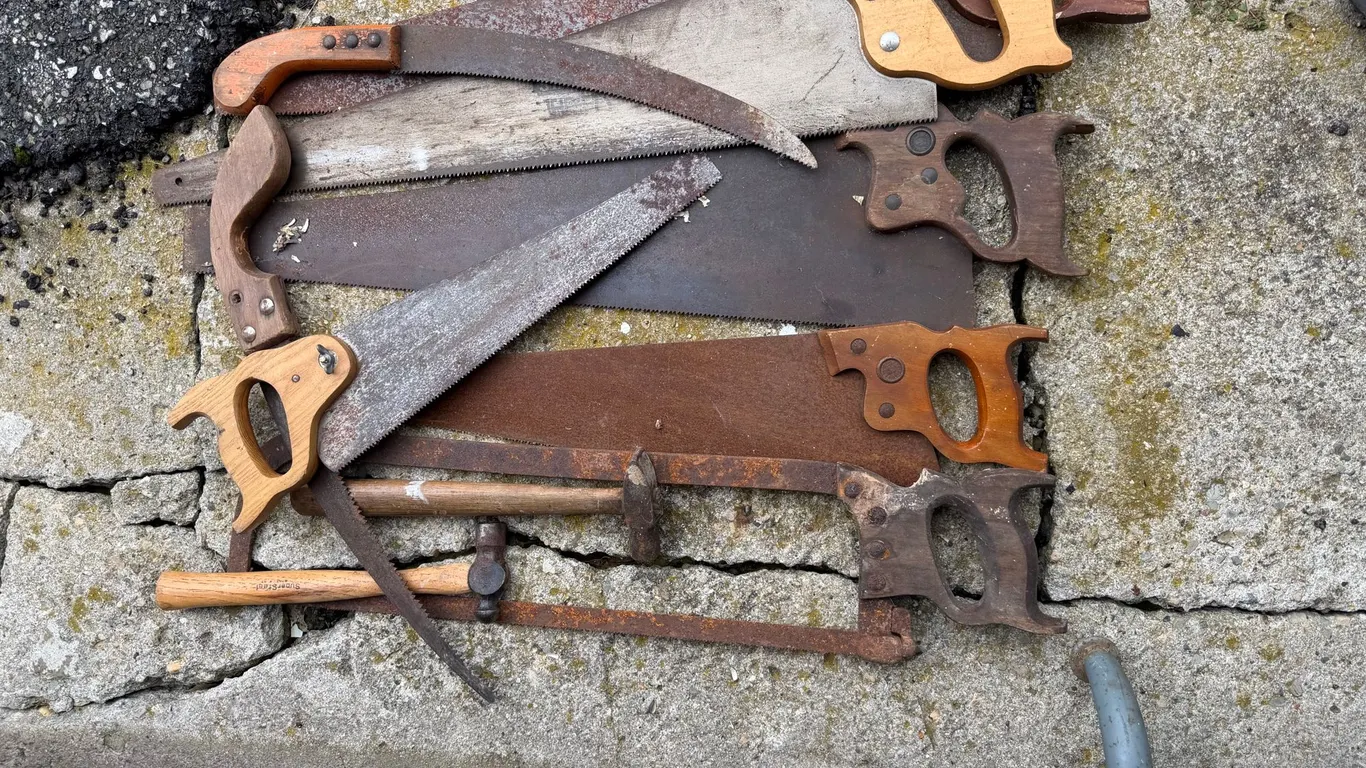 Vintage Hand Saw & Hammer Lot