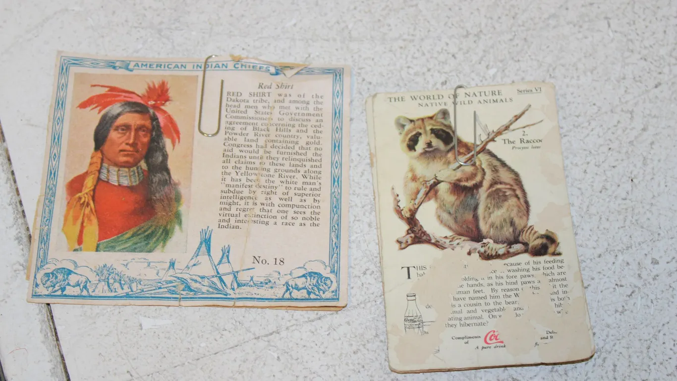 Red Man Chiefs Cards & Coca-Cola Nature Cards