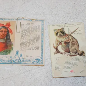 Red Man Chiefs Cards & Coca-Cola Nature Cards