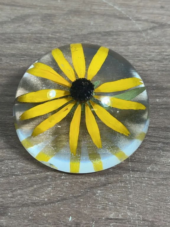 Three Dome Paperweights Floral and Butterfly Designs