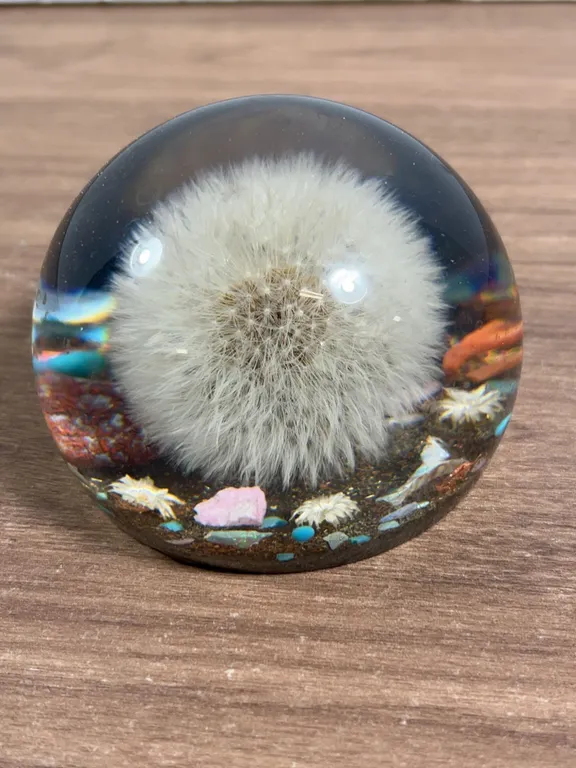 Encased Dandelion Resin Paperweight with Decorative Inclusions