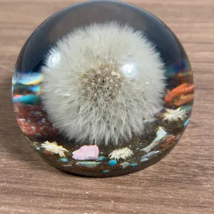 Encased Dandelion Resin Paperweight with Decorative Inclusions