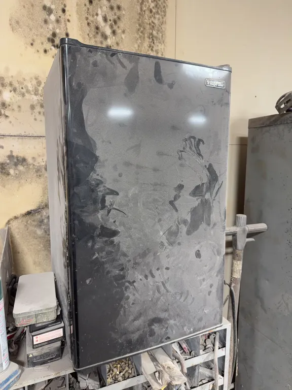 Mini Fridge