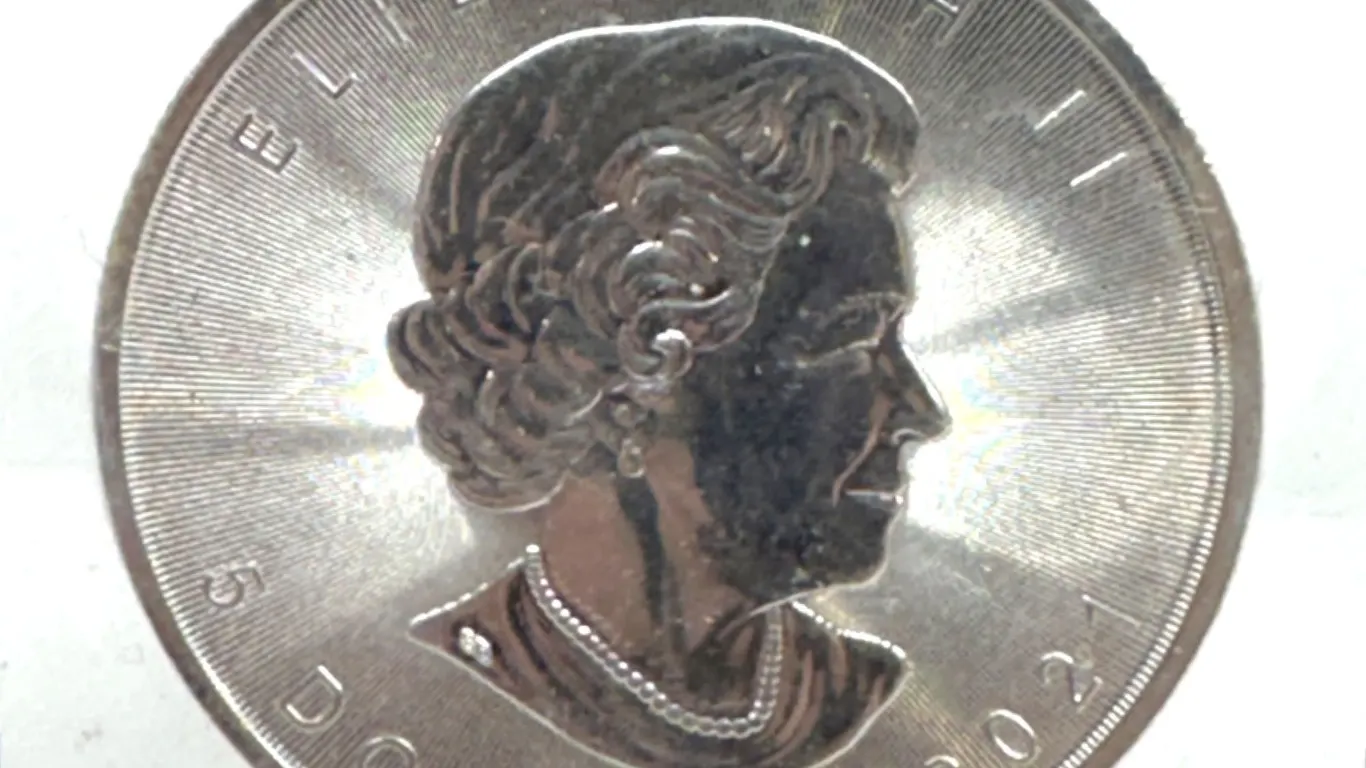 2021 Canada 1oz Silver Maple Leaf Privy Coin