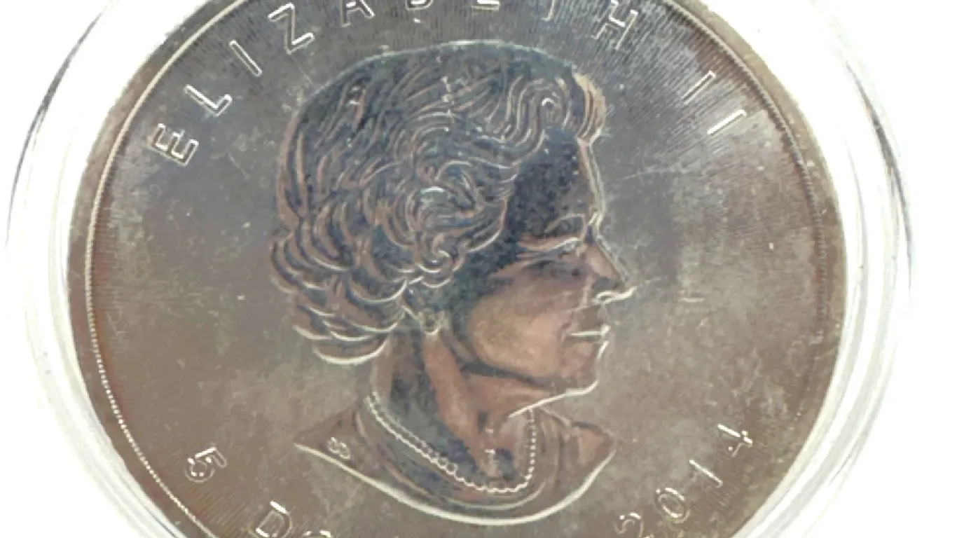 2014 Canada Silver Maple Leaf Privy 1 oz Coin