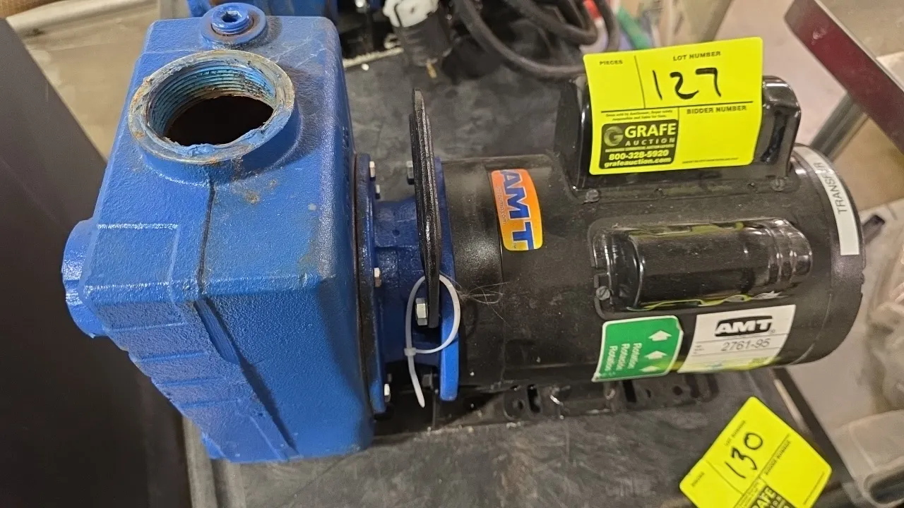 AMT 2761-95 self-priming centrifugal pump. Features a 2 HP US Motors commercial-duty motor, cast iron housing, and carrying handle. Electrical: 115/20
