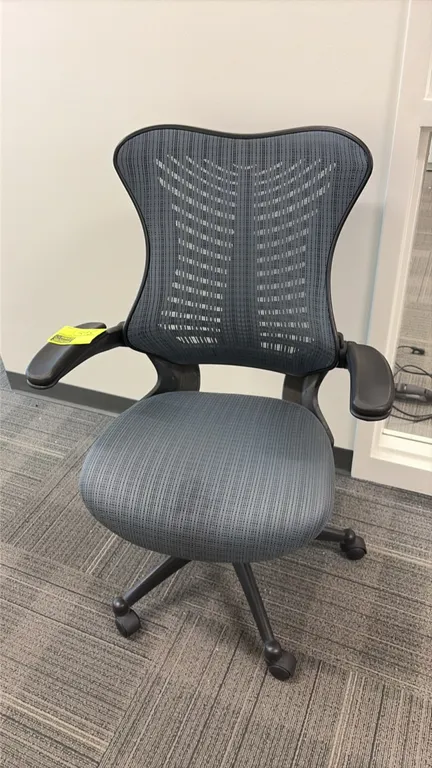 Ergonomic office chair. Features a contoured patterned mesh back with spine support, upholstered seat cushion, and armrests. Mounted on a 5-star swive