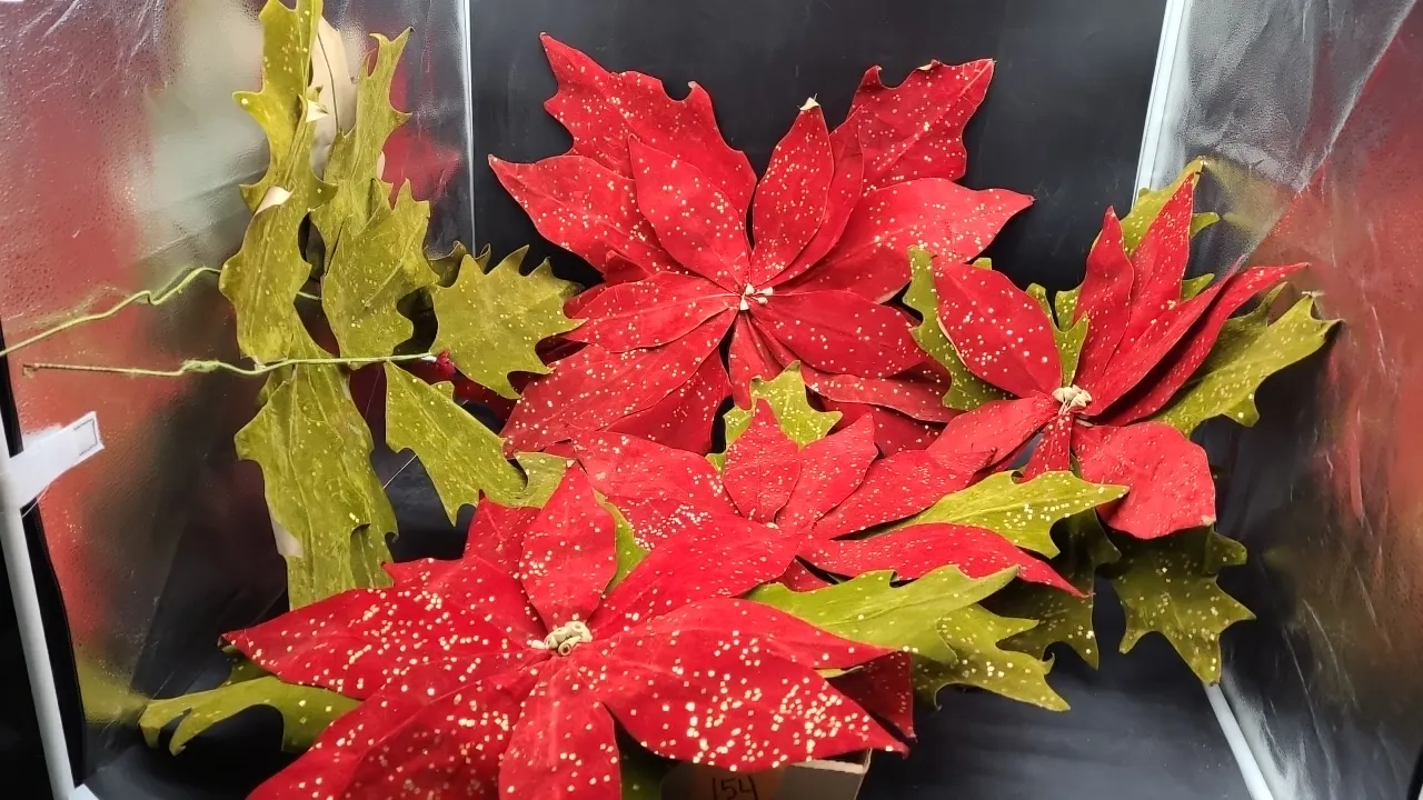 LARGE LEAF & POINSETTIA DECORATIONS