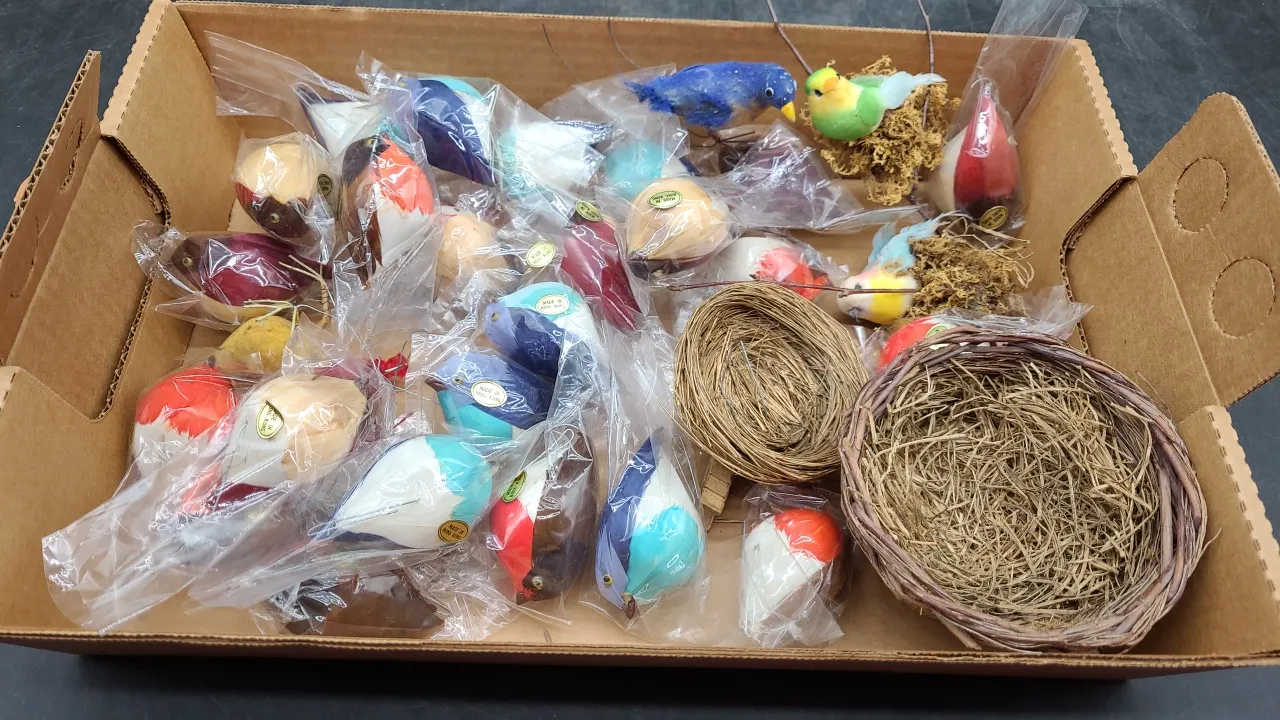VARIOUS BIRDS & NESTS