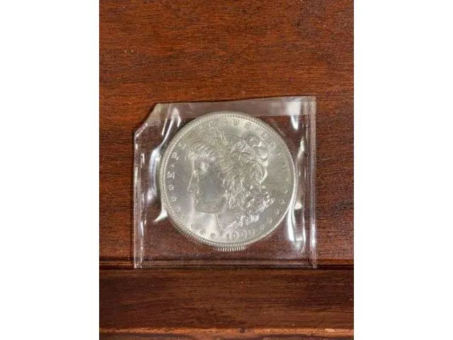 1900 Morgan Dollar BU