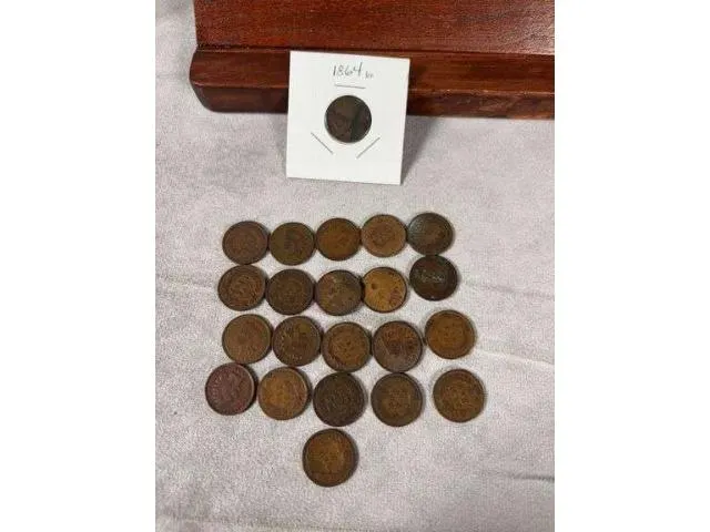 Lot of 22 Indian Head Pennies