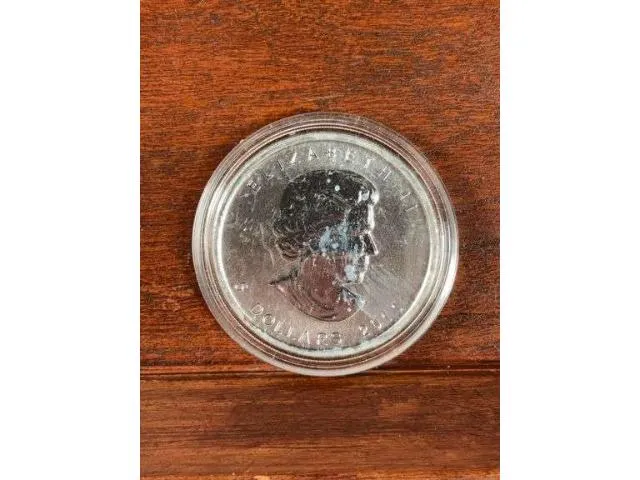 2011 Canadian 1 Oz. .9999 Silver Bear BU